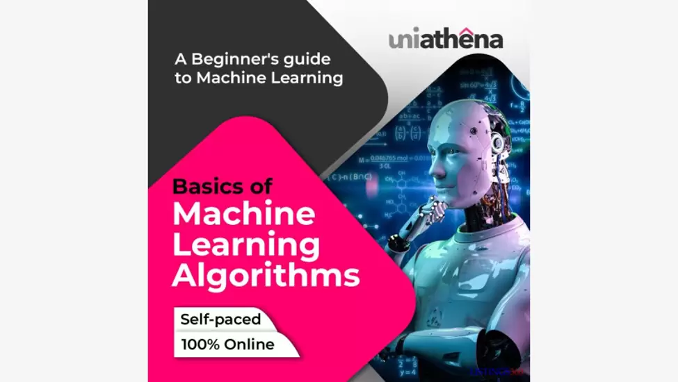 Most Popular Machine Learning Algorithms